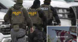 Pro-ICE ads reminding Americans of âdangerous illegal immigrantsâ Biden let in to run in swing states ahead of State of the UnionÂ 